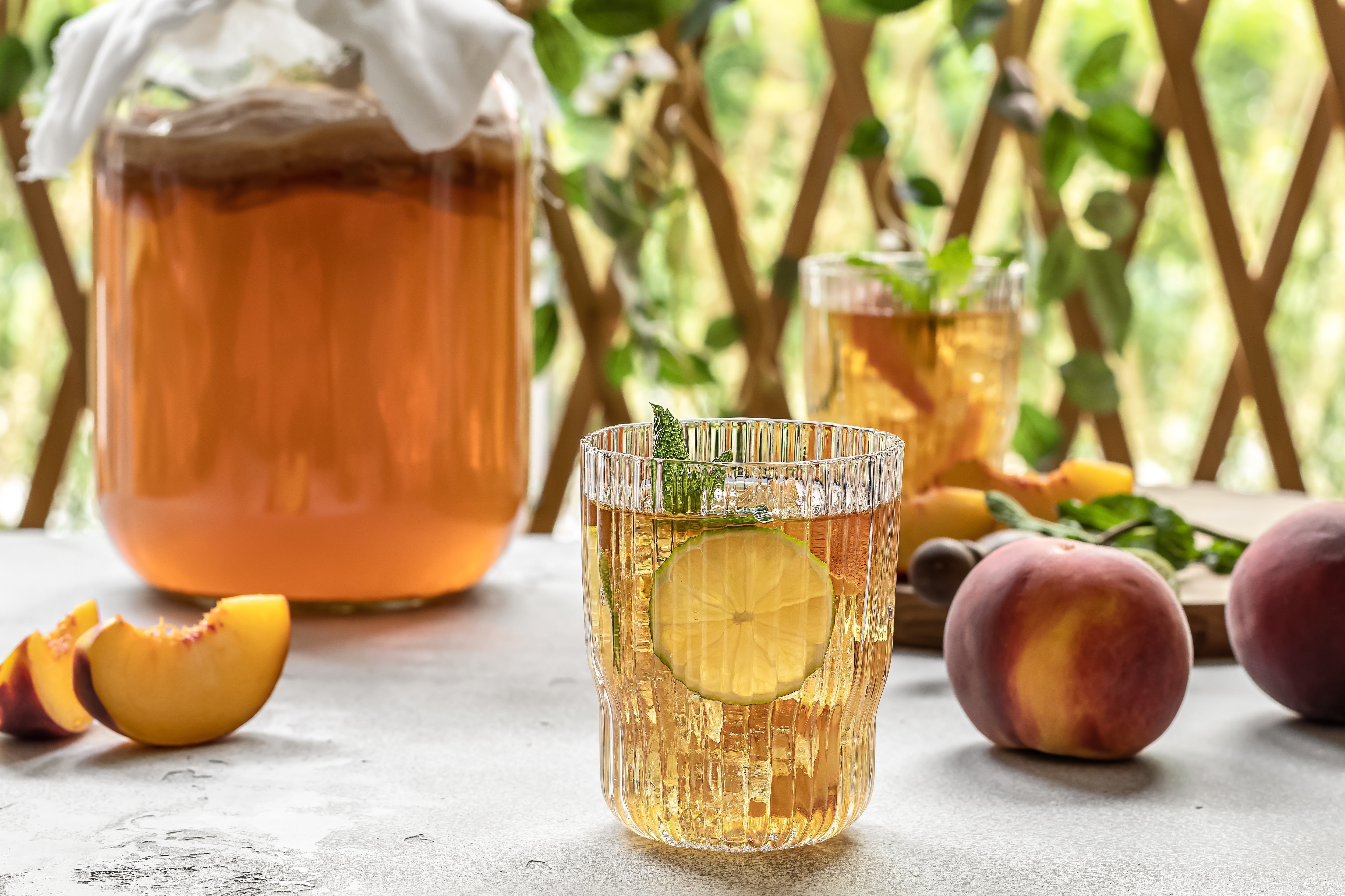 đ World Kombucha Day am 21. Februar: Geschichte, Fakten & Tipps zum Feiern