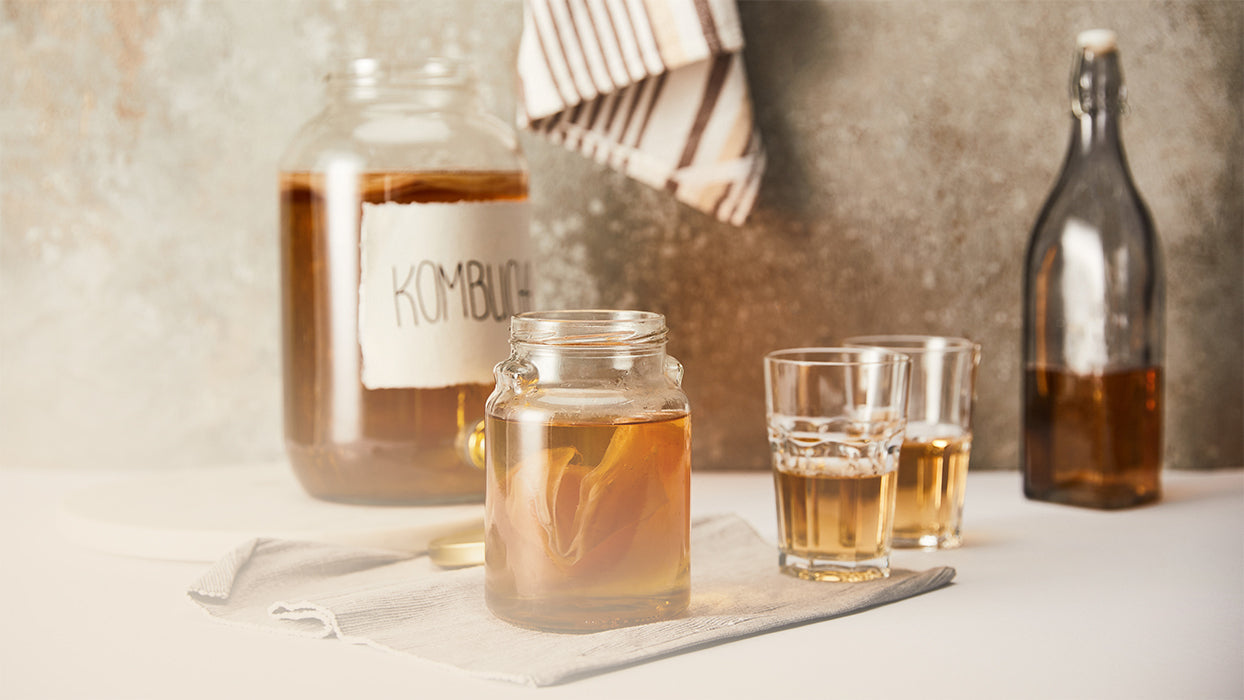 Eine Flasche zwei Einmachgläser zwei Trinkgläser mit Kombucha auf Tisch